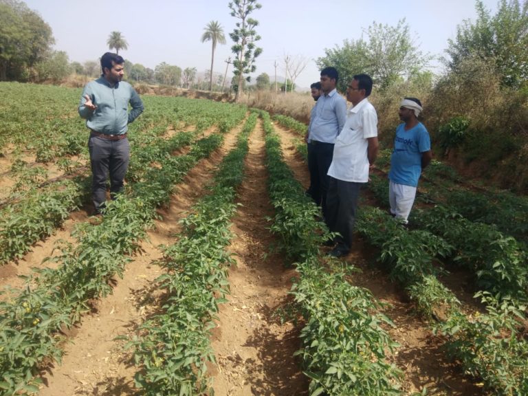 Members at work with farmers