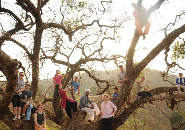 A group of tourists learning how to climb a tree