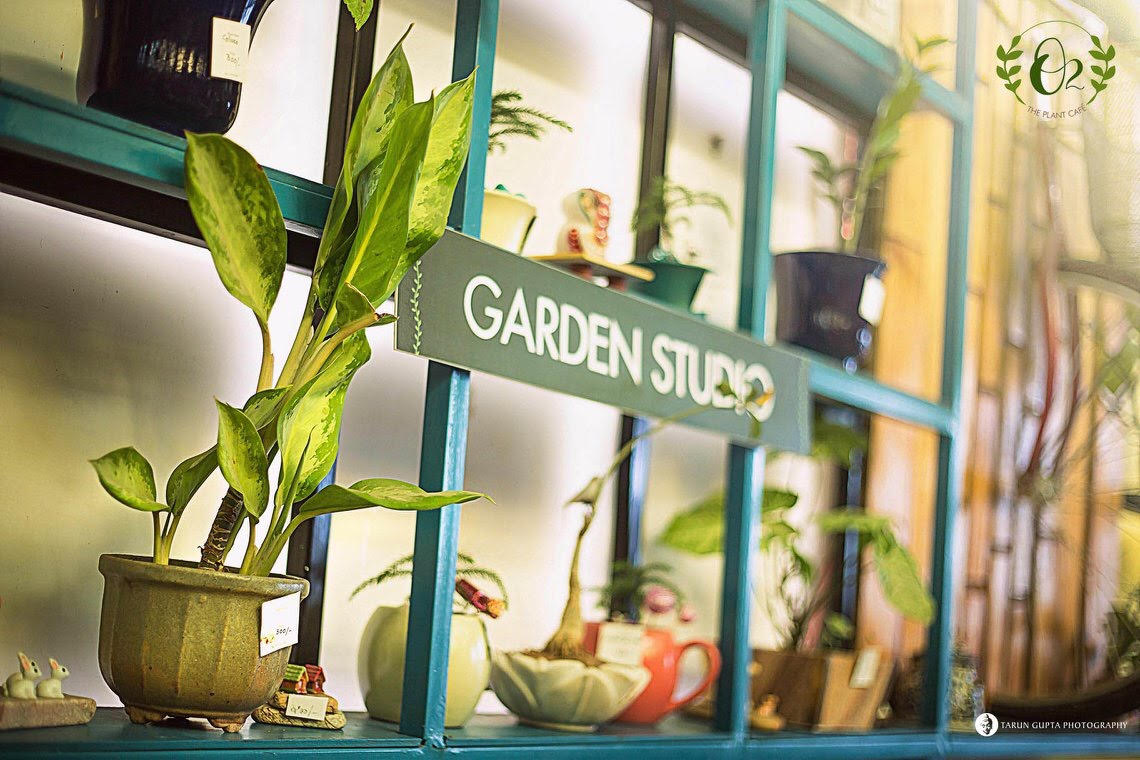 Garden Studio- O2 The Plant Cafe
