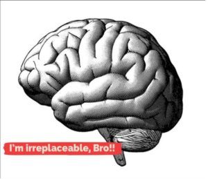 The brain speaks for itself: it’s irreplaceable!
