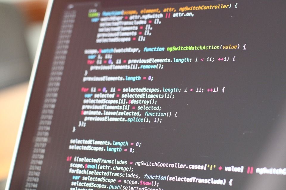 Coding. Image: Panmedia