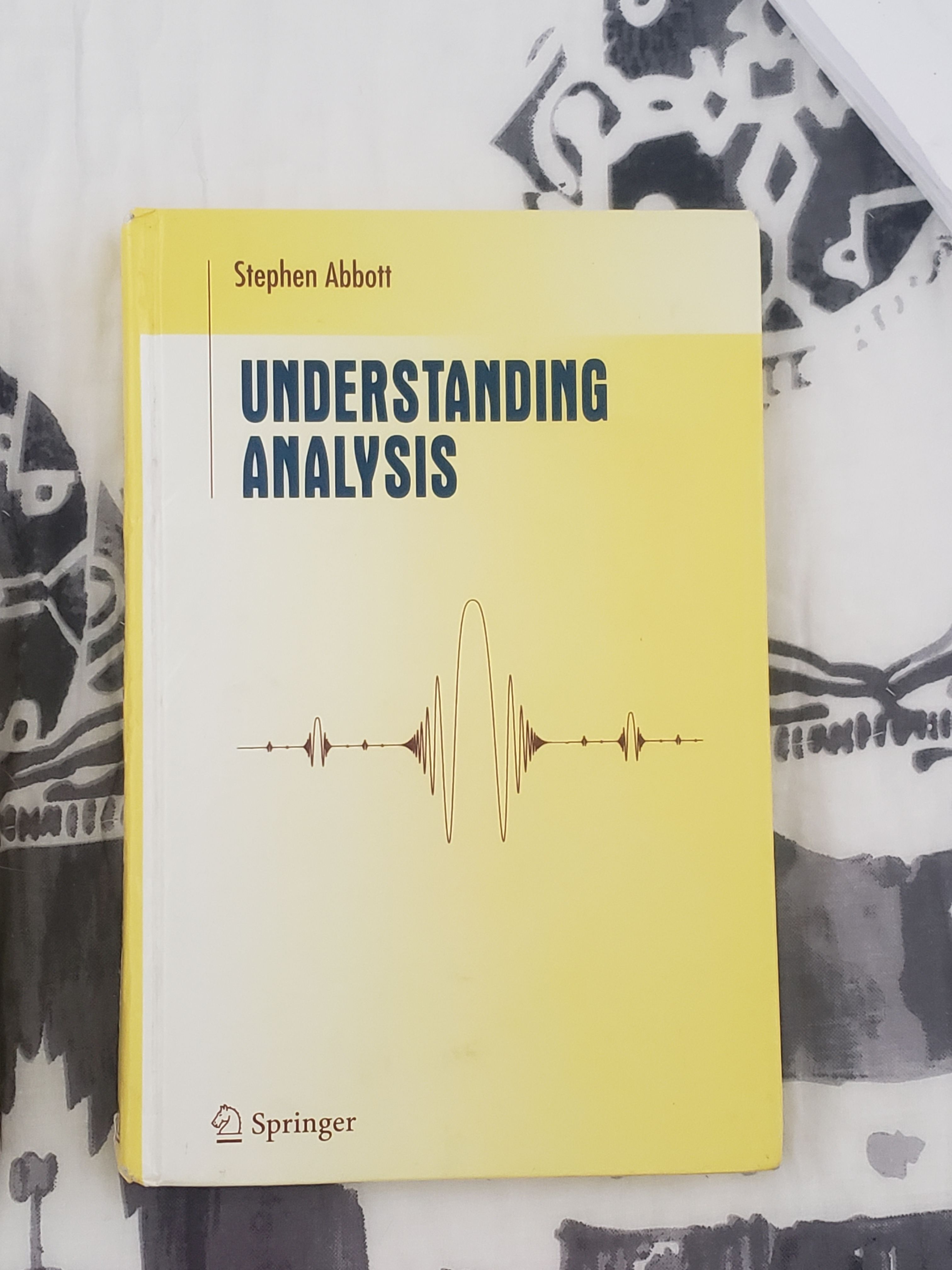 “Understanding Analysis” by Stephen Abbott, Springer Publications