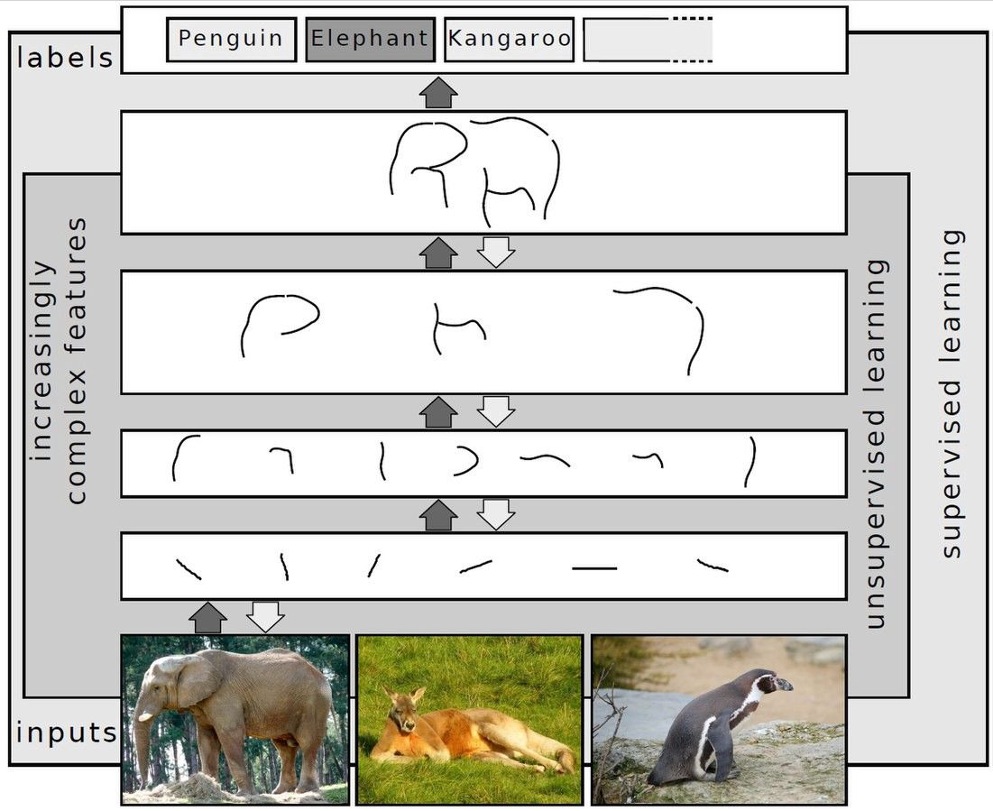 Layers  detecting patterns of increasing sophistication in visual data, leading  to abstract labels like “elephant” or “penguin”. Credit to Sven Behnke  [CC BY-SA 4.0]