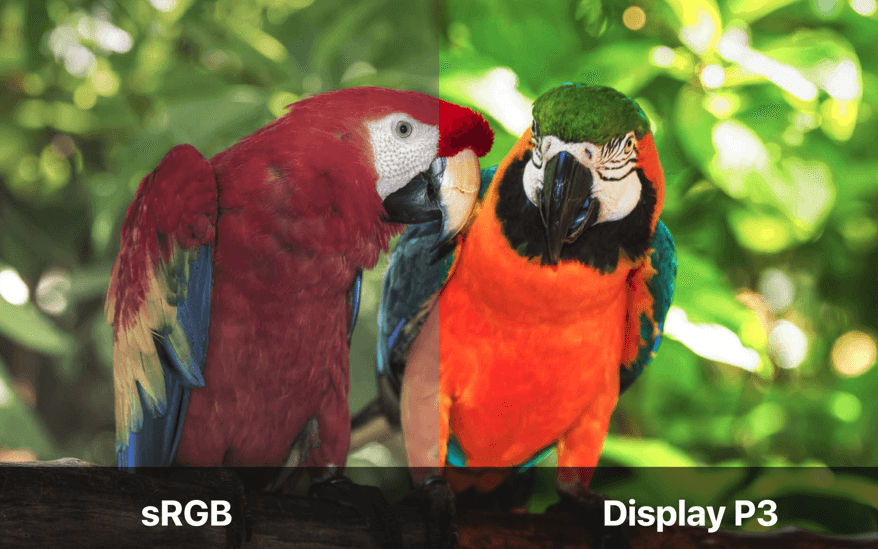 iPhone X screen type: sRGB vs Display P3 colors