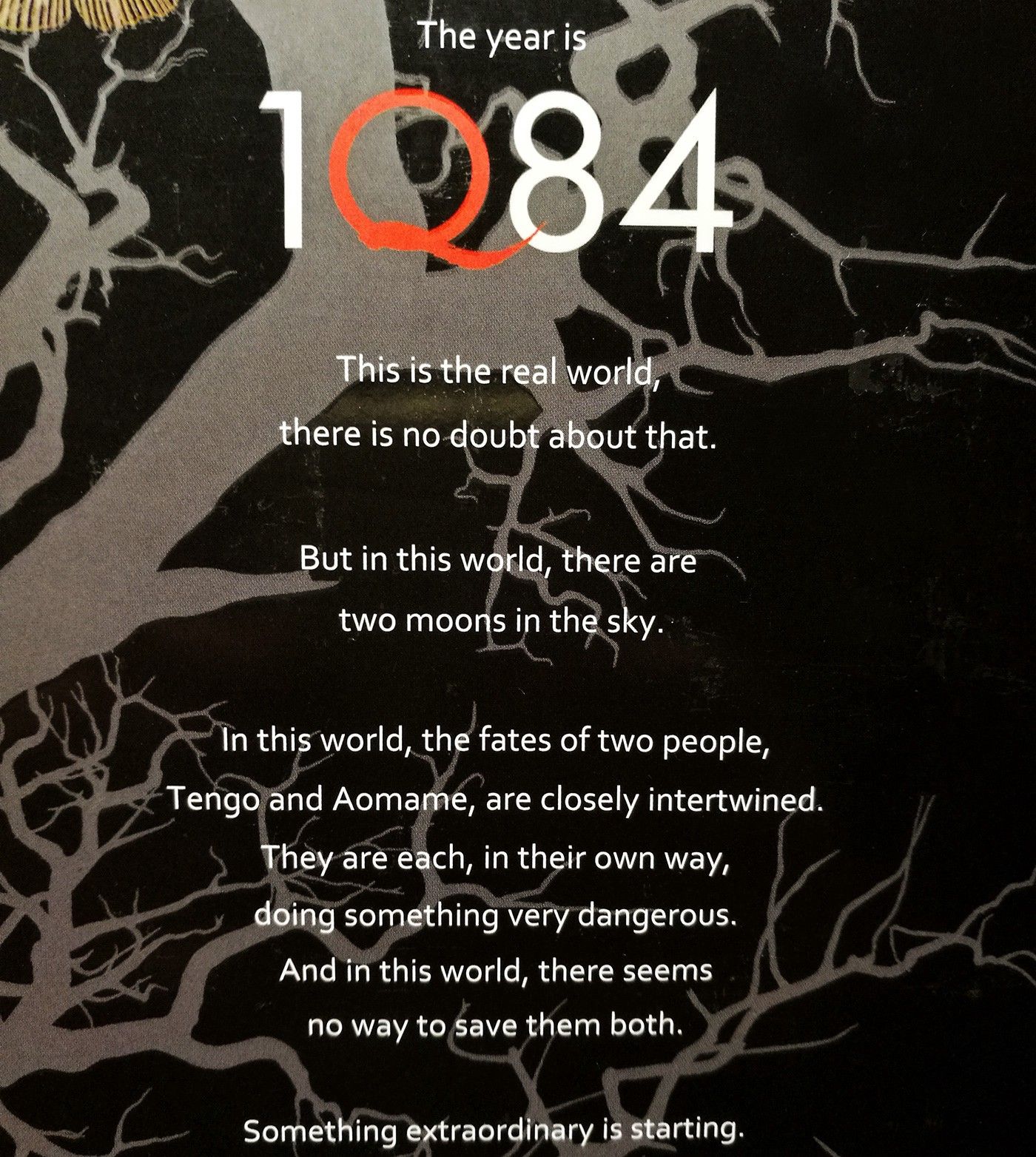 Photograph of the back cover of Haruki Murakami’s 1Q84 trilogy, taken by the author.
