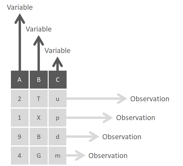 Columns are variables, and rows are observations