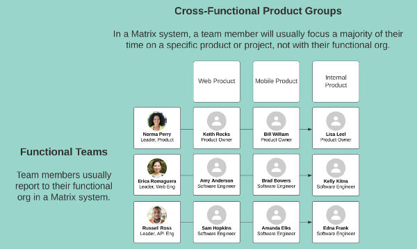 An  illustrated example of a functional, matrix-style organization. Team  members work on different products and projects but report to the same  leader.