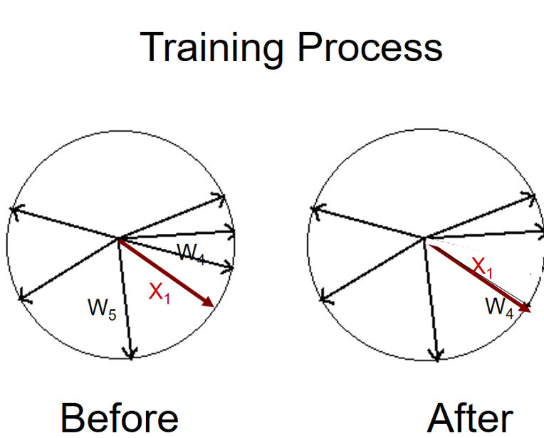 Training Process