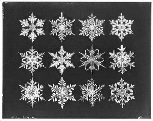 Snowflake crystals | Theodor Horydczak Collection