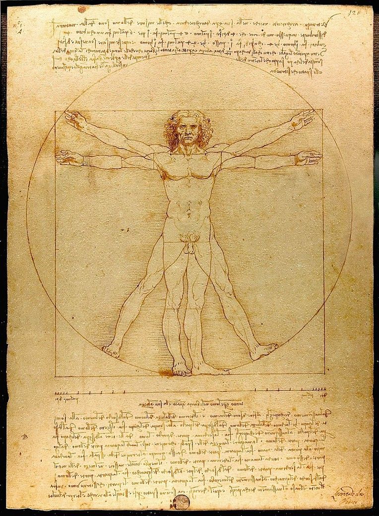 Leonardo da Vinci’s Vitruvian Man, the perfectly-proportioned man (Source: Luc Viatour)