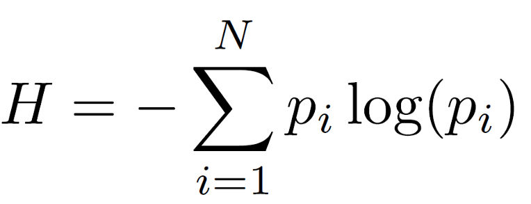 Shannon Entropy | Skanda Vivek