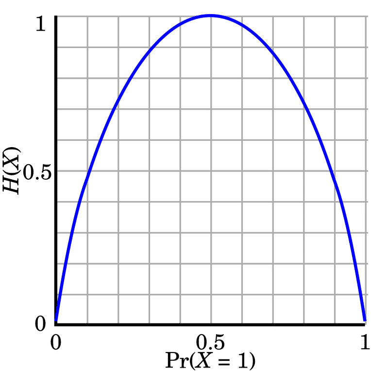 Binary Entropy Plot | Brona