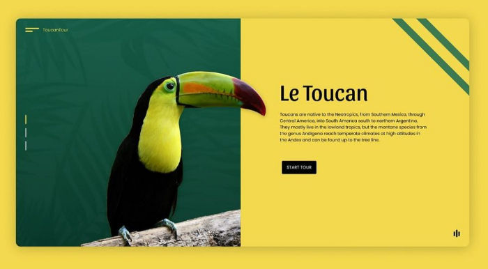 The toucan seems to belong to the green area but overflows in the yellow container.