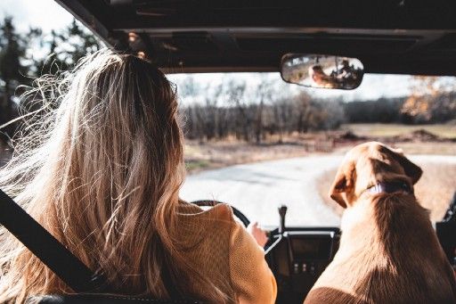 The Driver and the Navigator, photo by Toni Tan on Unsplash