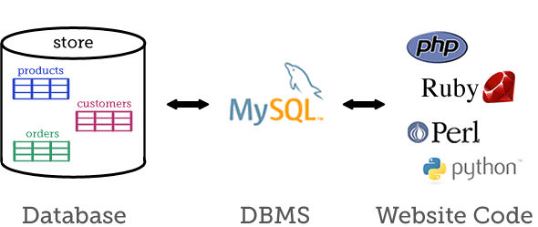 DBMS example