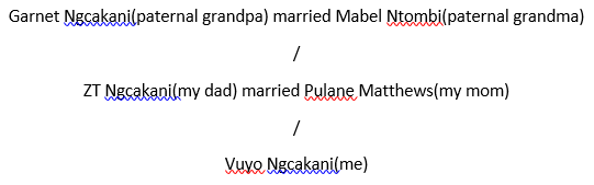 Author’s paternal family tree