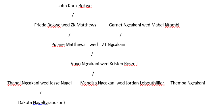 Author’s full family tree