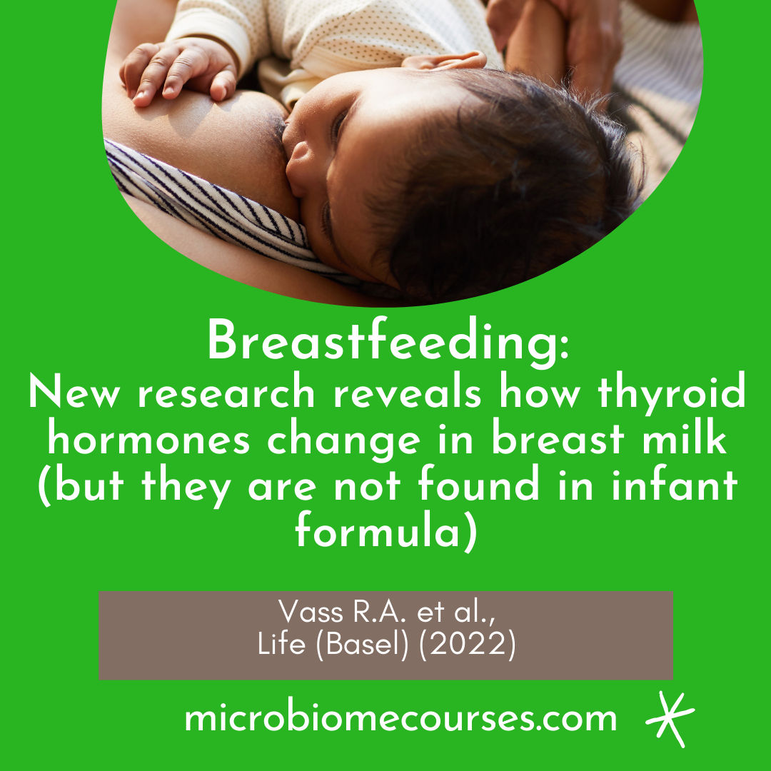 breastfeeding-new-research-reveals-thyroid-hormones-change-in-breast