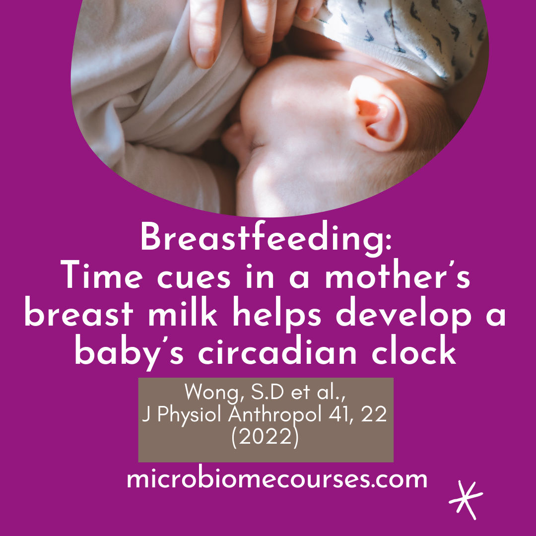 Breastfeeding Time cues in a mother’s breast milk helps develop a baby