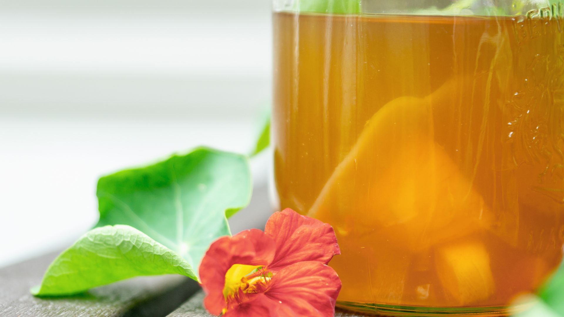 Root Beer Kombucha Kombucha Kamp Tealfeed