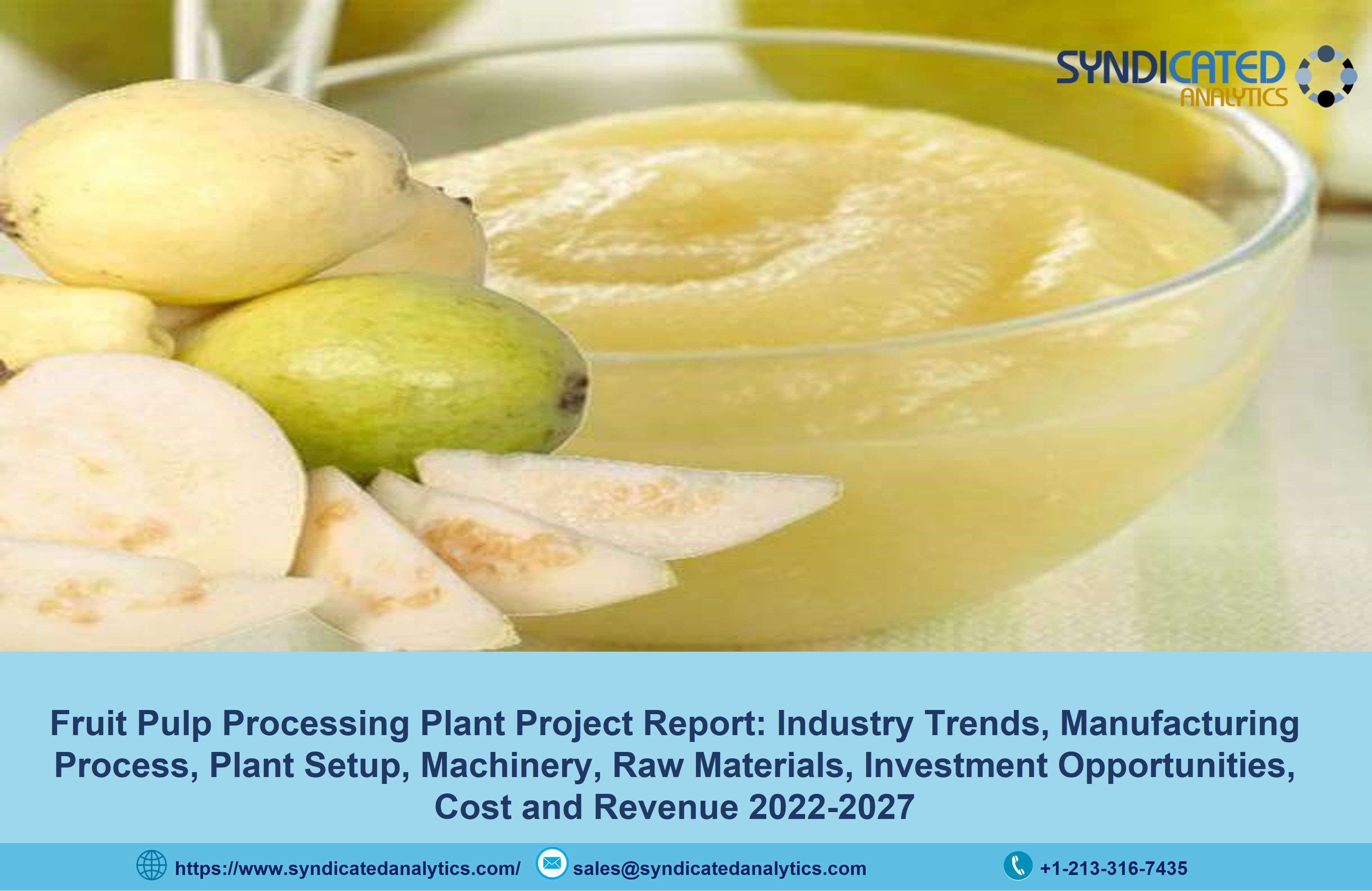 fruit-pulp-manufacturing-plant-cost-2022-manufacturing-process