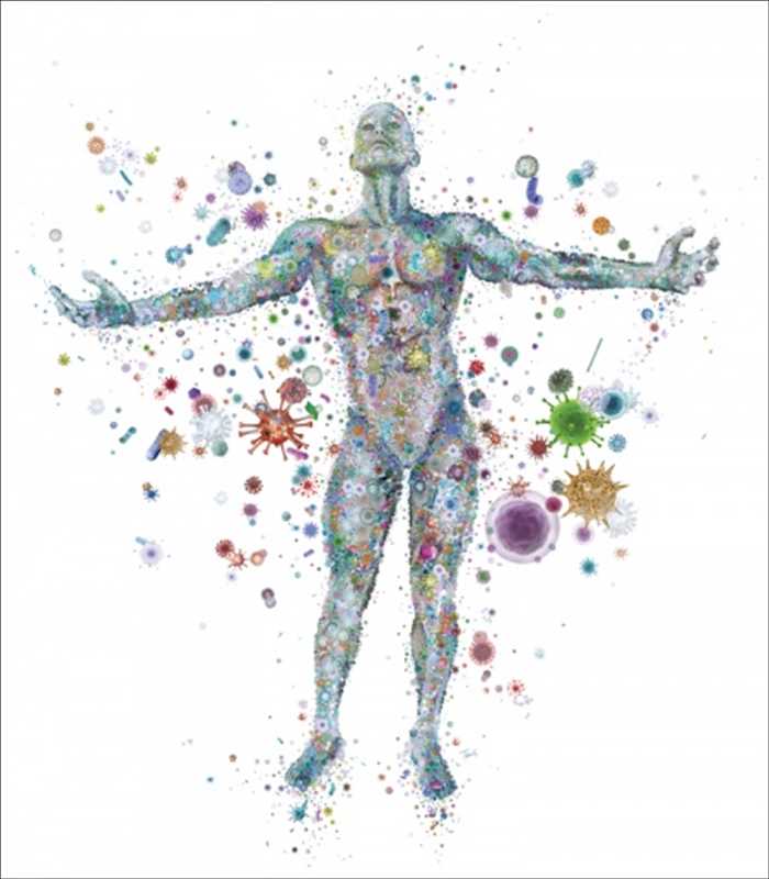Global Human Microbiome Market