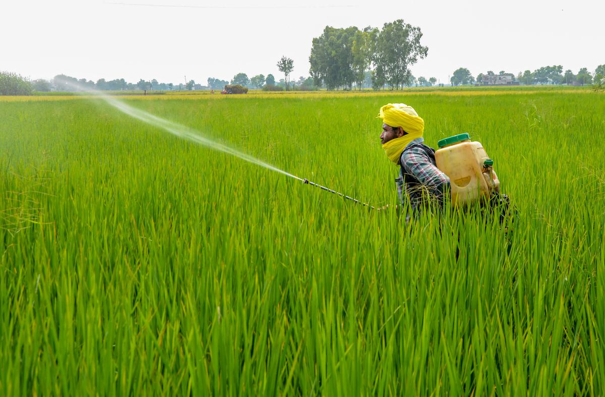 India Pesticide Market