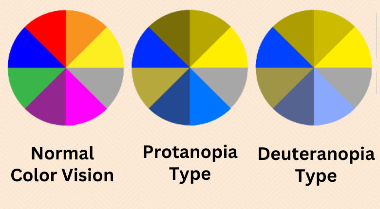 Color Blindness Types Causes And Treatment Color Blind Test Tealfeed 8064