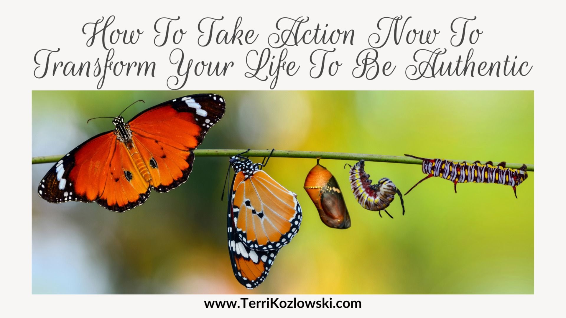 How To Take Action Now To Transform Your Life To Be Authentic TERRI 