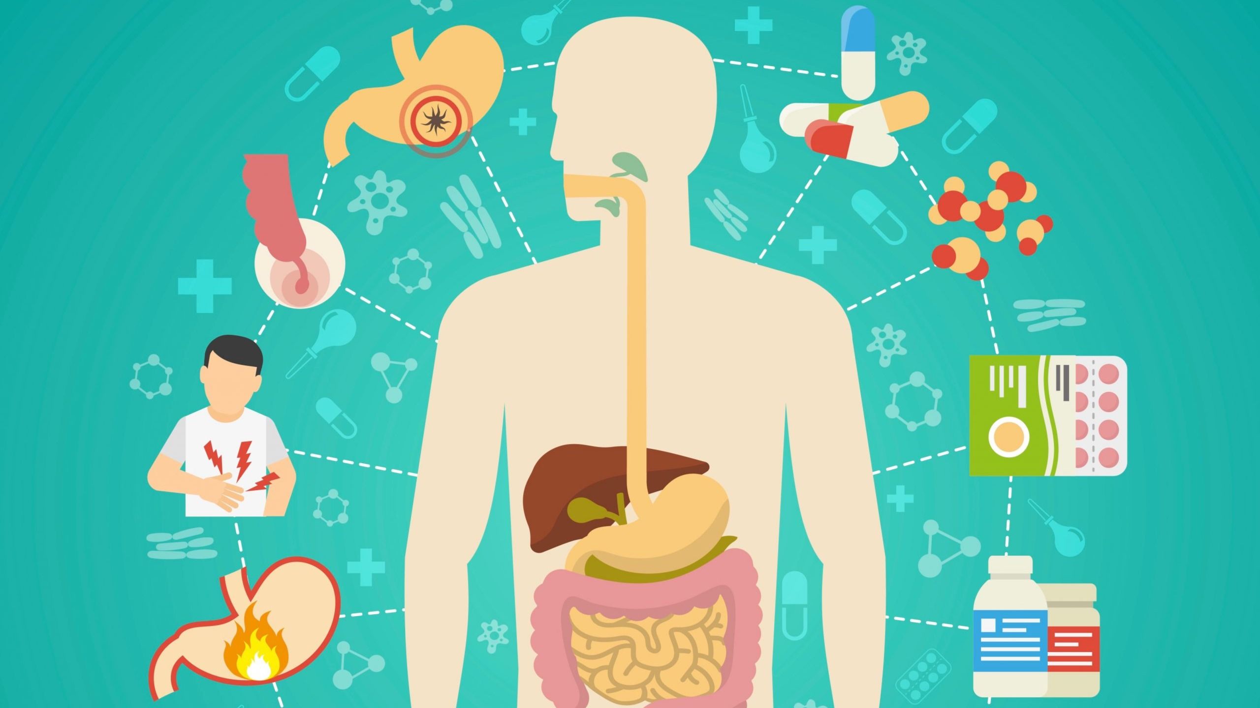 Digestion Aids Market See Huge Growth For New Normal GlaxoSmithKline