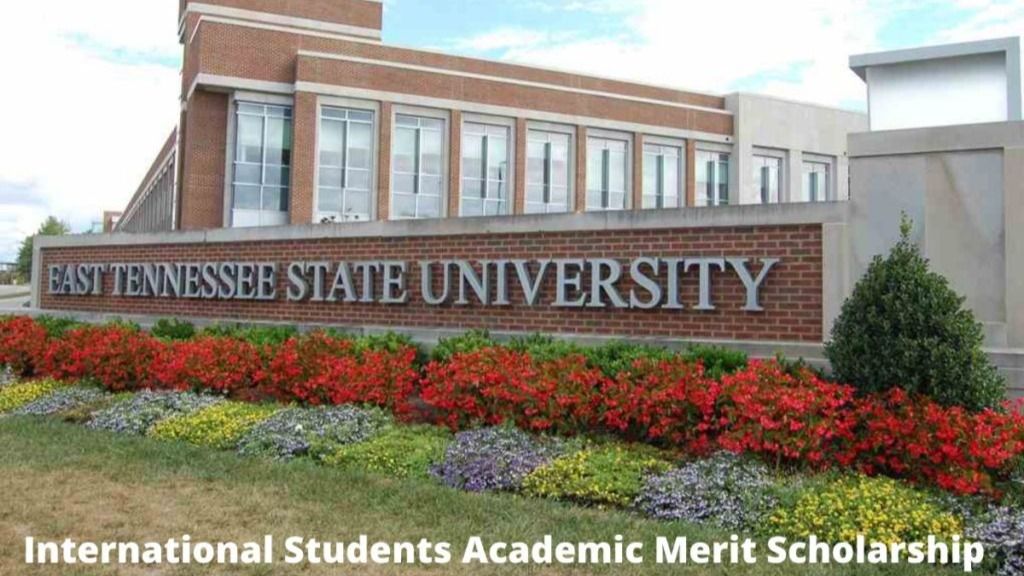 international-students-academic-merit-scholarship-2022-application