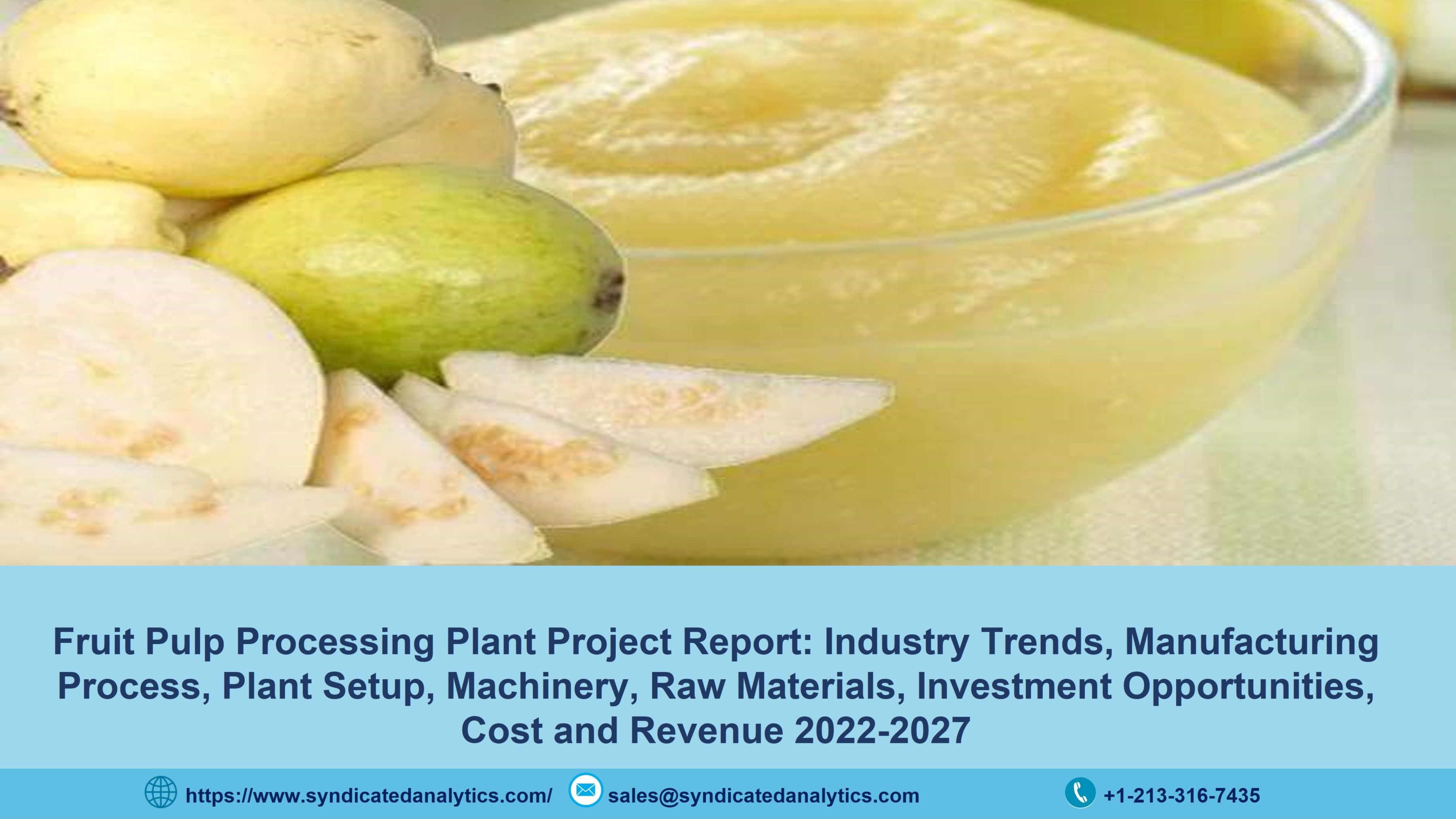 Fruit Pulp Manufacturing Plant Cost 2022 Manufacturing Process