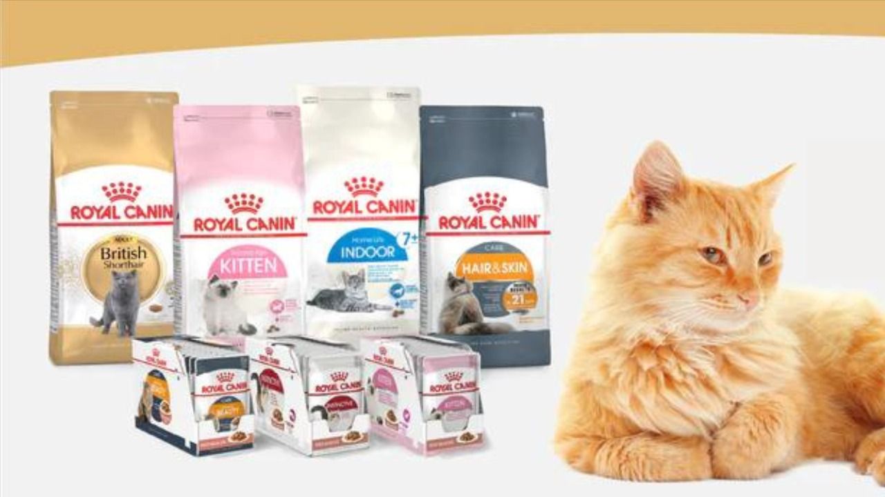 royal-canin-cat-food-price-in-bangladesh-najiya-akhtar-tealfeed